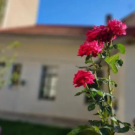 Διαμέρισμα Urban Oasis Chic