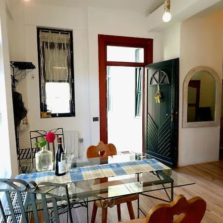 Urban Oasis Chic